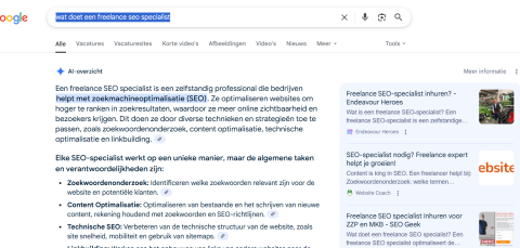 Google overview Website Coach